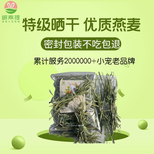新晒干燕麦草兔兔龙猫牛羊马羊驼干草磨牙中期