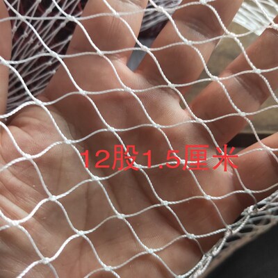 尼龙网片半成品棉线柔软不t伤鱼定做拉网拖网清塘网抬网网箱搬筝