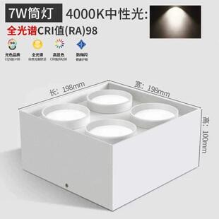 灯全摆头免开盒子头灯四头4cob斗胆吸顶孔方铝深藏正 防眩射灯明装