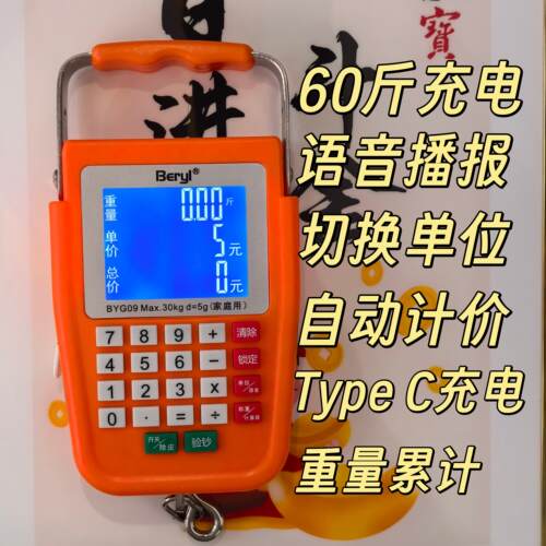 带语音充电计价手提秤带卷尺勾秤快递秤钓鱼称便携钩迷你称买菜秤