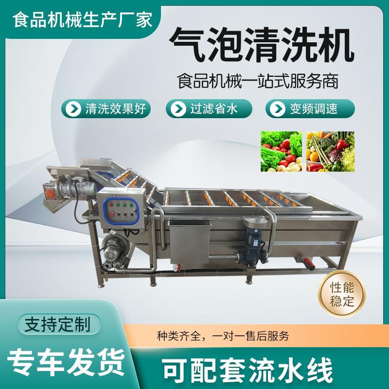 瓜果桃子气泡清洗机樱桃蓝莓清洗设备红枣高压喷淋清洗机洗菜机