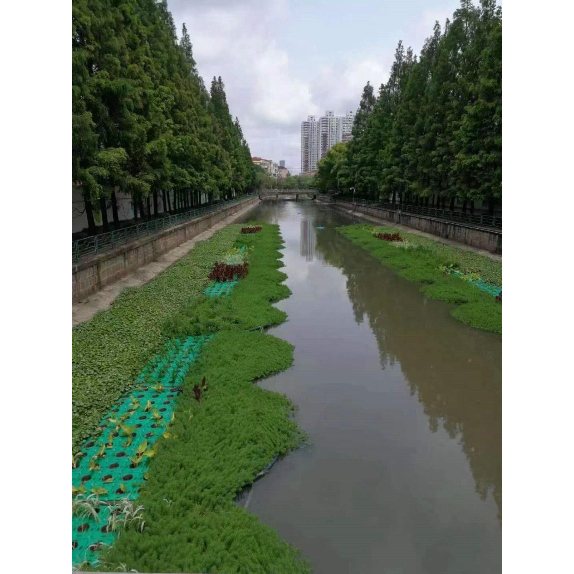 水生植物浮盆、水稻浮床、蔬菜水面、水菠菜、人工生态浮岛板、净