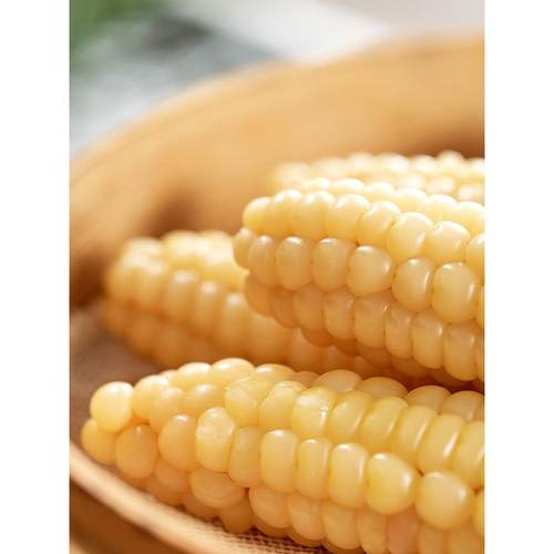 云南西双版纳拇指玉米宝宝代餐软糯香糯手指小孩早餐无添加真空袋