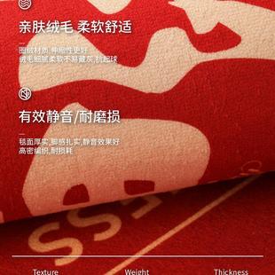 龙年入户门地垫门口进门门垫脚垫家用出入平安新年红色地毯可裁剪