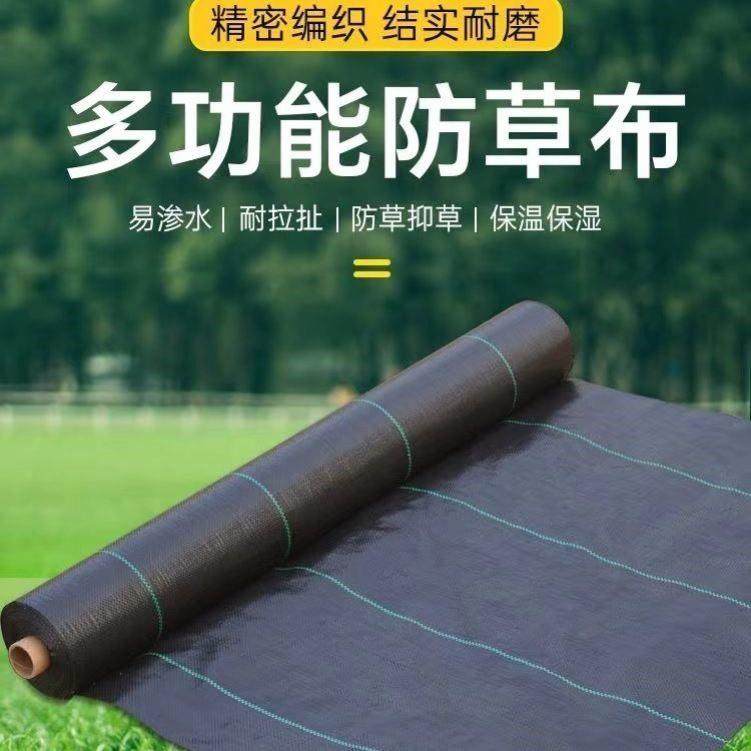 德国进口PE进口全新新型防草布果园果树打孔切片耐用除草布透气透,农机/农具/农膜,农用防草地布/除草布,淘宝优惠券,粉丝福利购,淘宝优惠卷