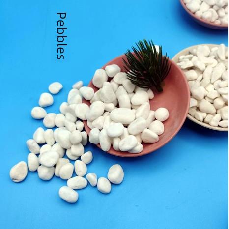 辽宁白卵石大卵石庭院铺装小卵石园林干景观白卵石