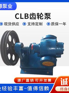 CLB洒布车用沥青齿轮泵乳化沥青泵高温泵机油输送泵电动电动高效
