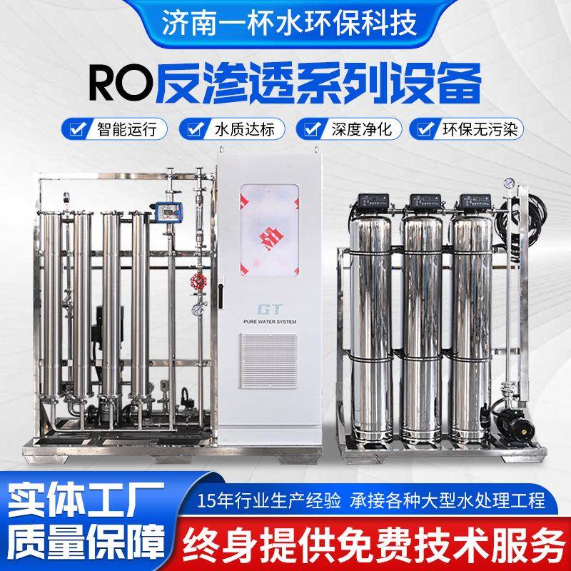 RO软化水净水设备0.25吨0.5吨1吨ro去离子直饮超纯水反渗透设备