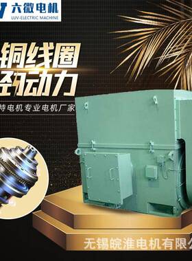六安微特电机马达Y．YKK（6KV）高压电动机-高压电机IP55/56