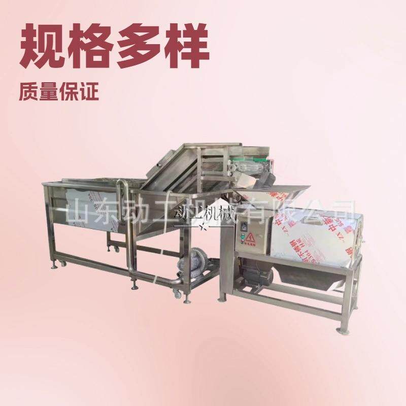 大型商用阳光玫瑰去梗破碎机 电动葡萄去梗机 多功能果梗分离机