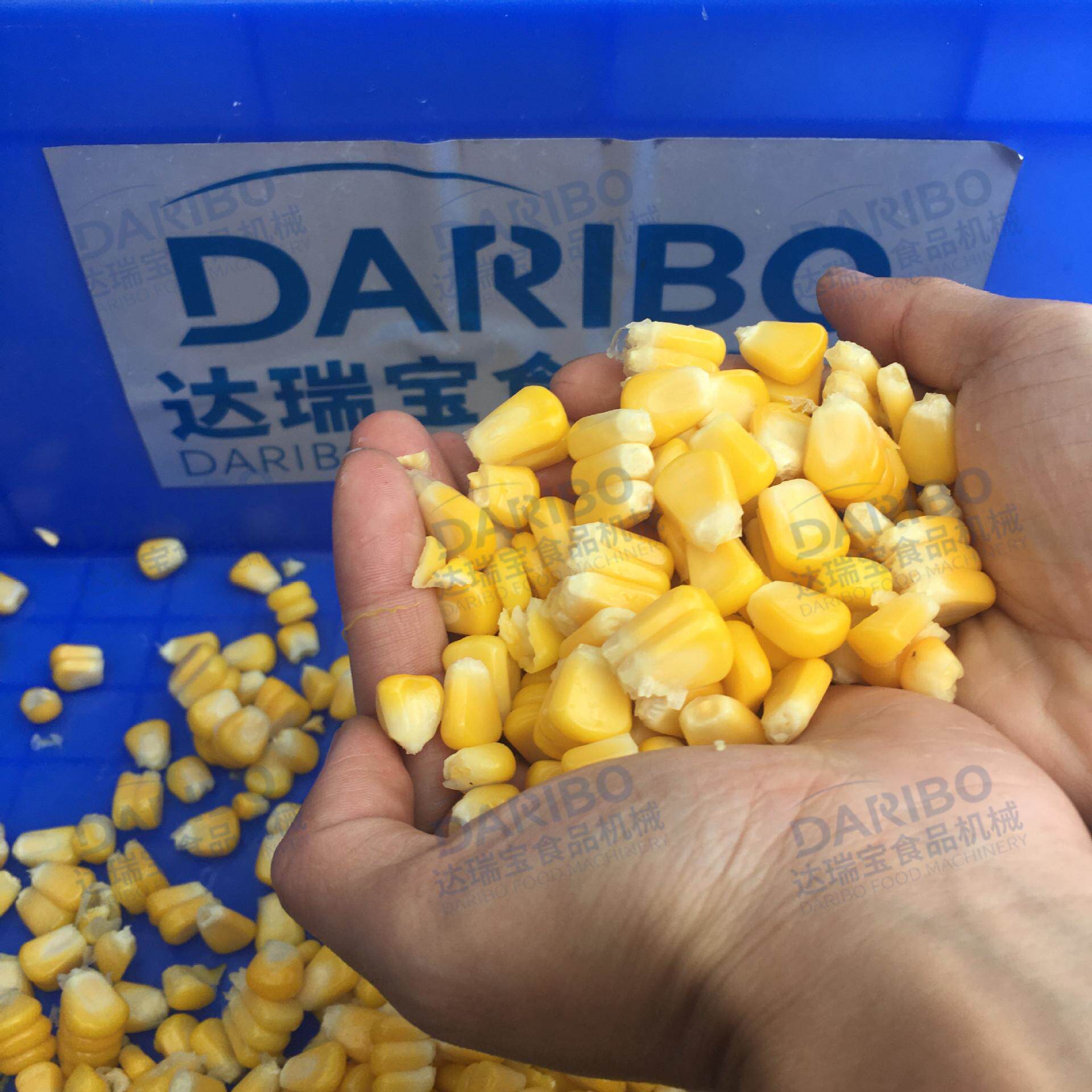 l达瑞宝牌全自动糯粟米脱粒机 水果玉米苞粒机 传送带玉米脱粒机