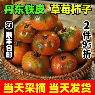 包邮 新鲜水果西红柿生吃绿腚番茄顺丰 正宗丹东铁皮草莓油柿子应季