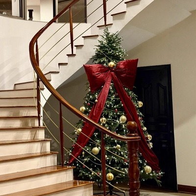 心急的人先过圣诞啦~好好看！