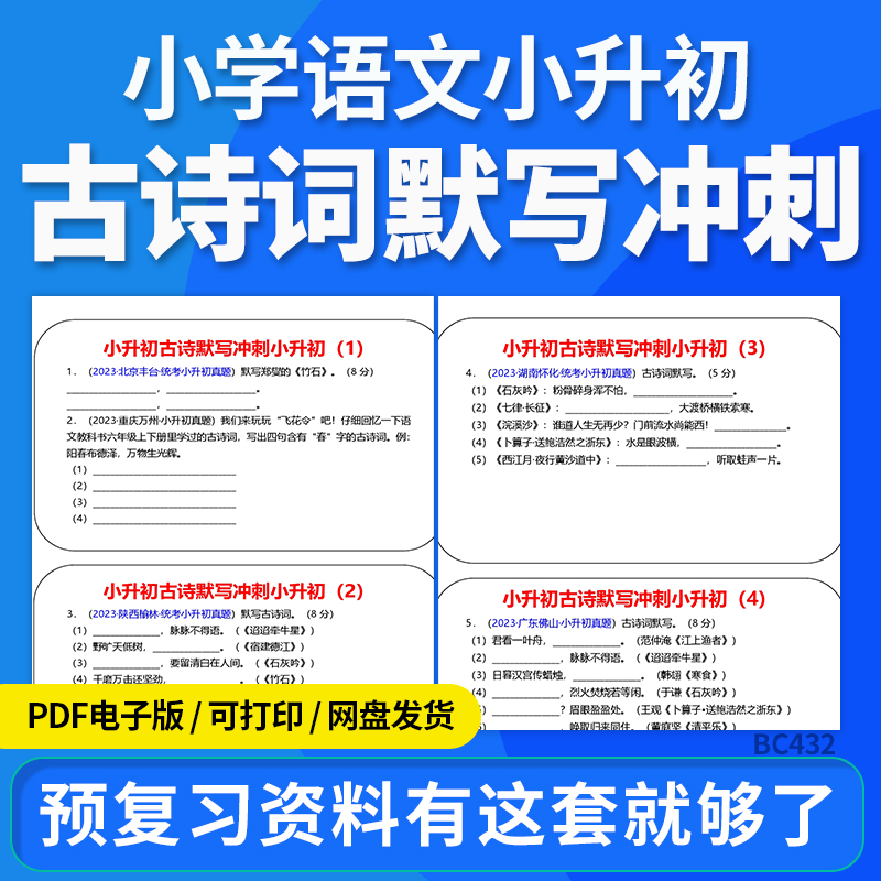2025小学语文小升初古诗词默写冲刺专项训练电子版资料