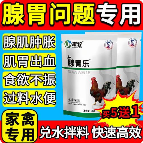 雄牧腺胃康乐正品清灵鸡药鸭鹅腺肌胃拉呕出血炎稀吐过料调理肠道