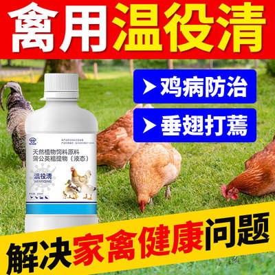 温役瘟疫清养鸡专用正品小鸡鸭鹅鸽特效救命药家禽用感拉冒稀厌食