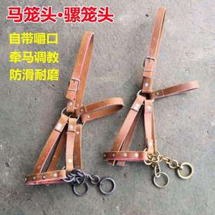 牵马绳子项圈龙套拉马牵马笼头装备马术嚼子耐磨结实牵引调教勒马