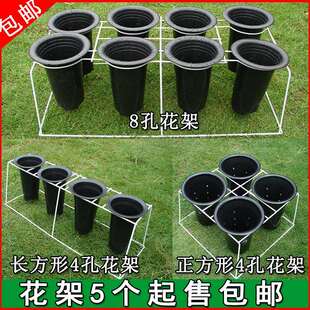 兰花架铁艺塑料兰花盆专用支架白色花架落地式4孔8孔兰草花盆架子