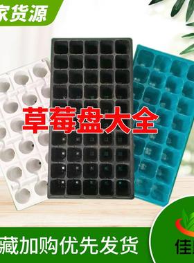白色蓝色黑色24孔滴灌带草莓加厚育苗盘秧苗盘50孔桉树塑料穴盘