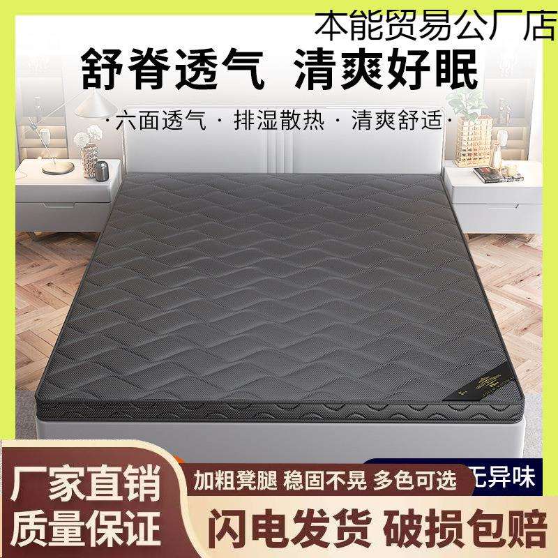 可折叠折叠棕垫棕米经济床垫椰儿童家用经济型棕榈8m床垫米席梦思