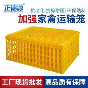 加厚鸡用运输笼鸡周转箱塑料家禽运输鸡笼鸡鸭鸽子周转箱