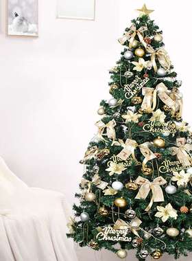 圣诞树套餐摆件圣诞节米圣诞15绿色811大型装饰米加密圣诞家用发