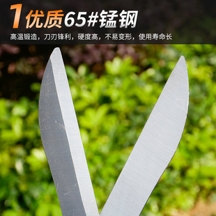 园艺剪刀加长大修枝剪花草绿化家用工具绿篱园林修剪树锋利枝剪