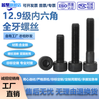 12.9级公制全牙内六角螺丝杯头螺钉全牙M1.4-M30*10-200mm