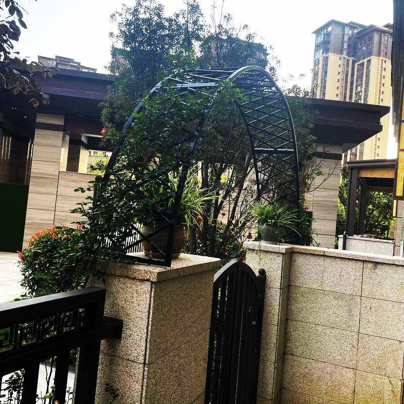 花支欧式拱门架藤架庭院别墅拱CJA门爬架子门垛门头铁艺拱形攀爬