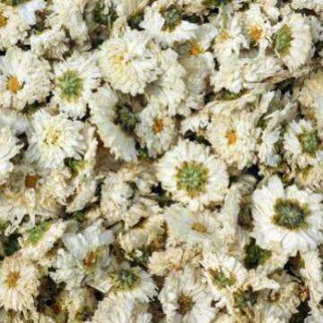 热泵鲜花烘小型菊花AHV干房各种鲜烘花机烘干机干厂家