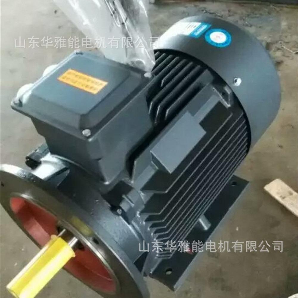 YE425QPM0M6-Y7电机-增容设计E4电机是否符合订货合同现场情况要-