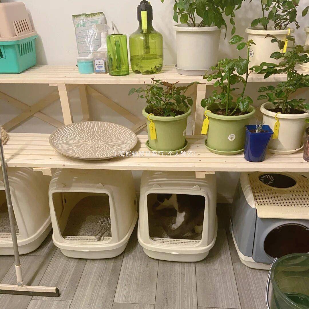 y&实木花架 猫砂盆架置物架阶梯 阳台架多层收纳落地架猫咪爬架清