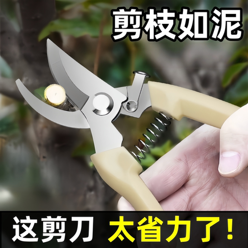 不锈钢树枝修枝剪采摘水果花木剪