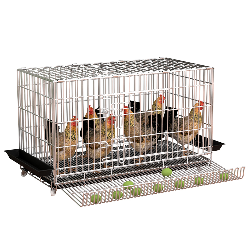 鸡笼子家用大号蛋鸡笼小鸡养殖笼鸭鹅鸡窝田鸡笼室外自动滚蛋鸡笼