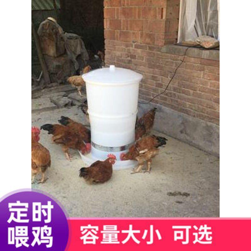 投料机喂食器养鸡全自动