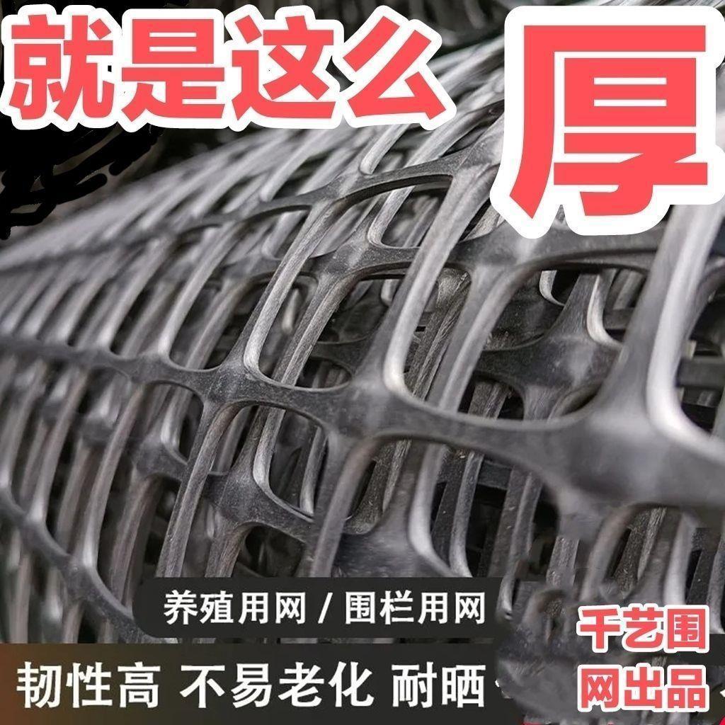 塑料围栏网养殖网格栅养