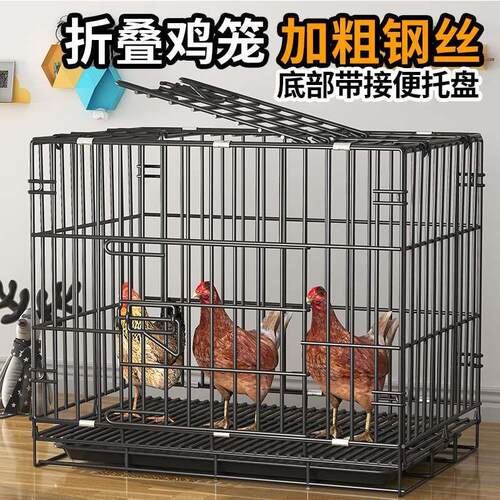 鸡笼家用小号大号特下蛋