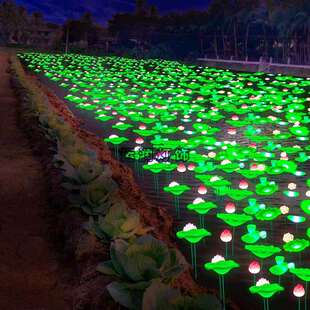 亮化户外荷花灯园林装饰LED蒲公英景观灯广场庭院造型灯