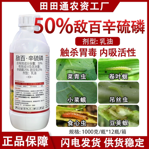 50%敌百辛硫磷菜青虫小菜蛾蚜虫蓟马钻心虫地下虫正品农药杀虫剂