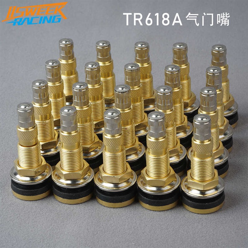 TR618A纯铜气液型气门嘴卡车农用车工程车充气嘴无内胎压紧式气嘴