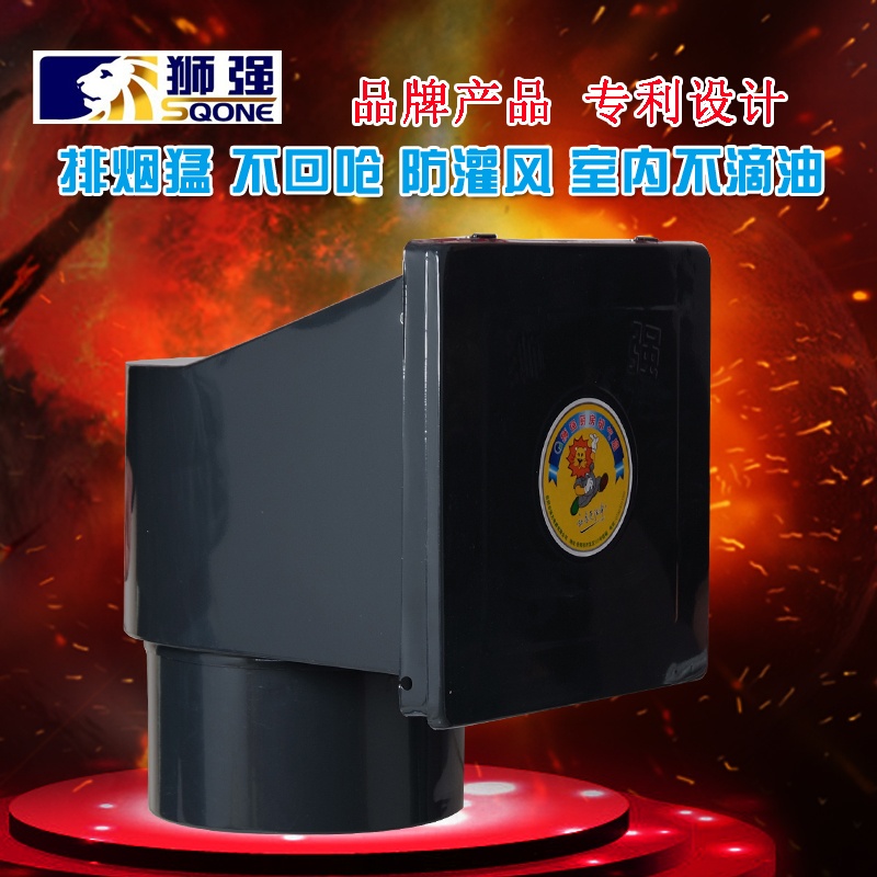 狮强厨房油烟排气扇家用强力换气扇10寸窗式静音吸抽通风机S603A
