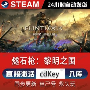 Steam燧石枪黎明之围激活码CDKEY入库国区全球区电脑PC中文游戏