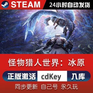 steam怪物猎人世界冰原激活码CDKey在线电脑单机游戏兑换码入库