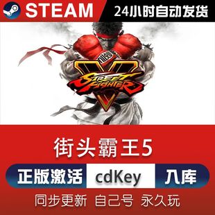 steam街头霸王5激活码CDKey在线电脑单机游戏兑换码入库