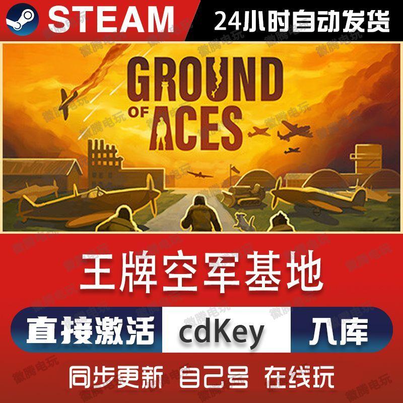 王牌空军基地steam游戏cdkey激活码单机电脑游戏全球区兑换码pc
