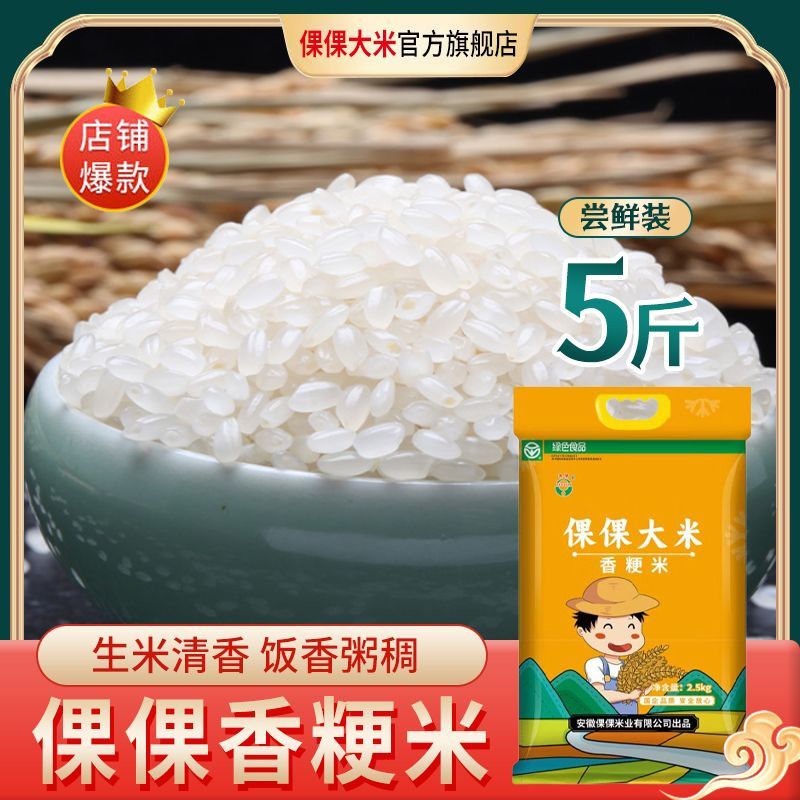 倮倮新米5斤现磨健康米当季圆粒香稻米软糯珍珠米农家粳米胚芽米