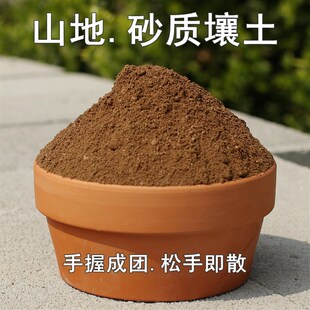 山地砂质壤土养花种菜种植营养土肥料河沙腐殖土风化砂叶岩土包邮