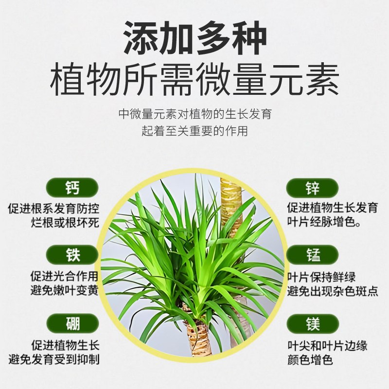 龙血树专用肥料龙须树浓缩营养液盆栽植物复合肥室内观叶绿植花肥