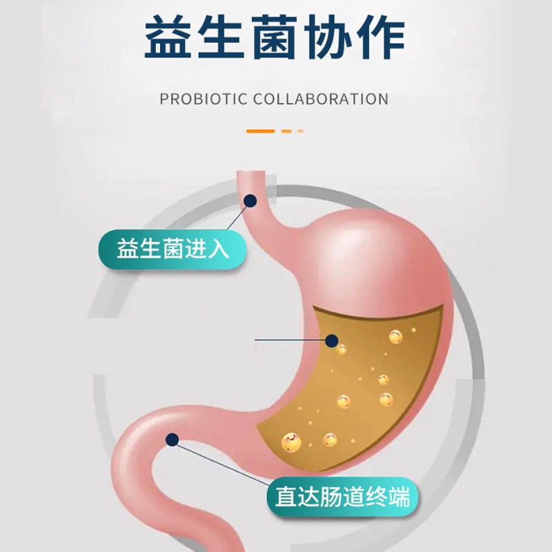 小鹿犬专用益生菌小狗狗宠物成幼犬吃的消化酵母活性菌肠道消化宝