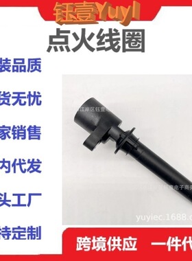 跨境点火线圈DG513 8M2E-12A366-AA 2M2Z-12029-AC 8M2E12A366AA